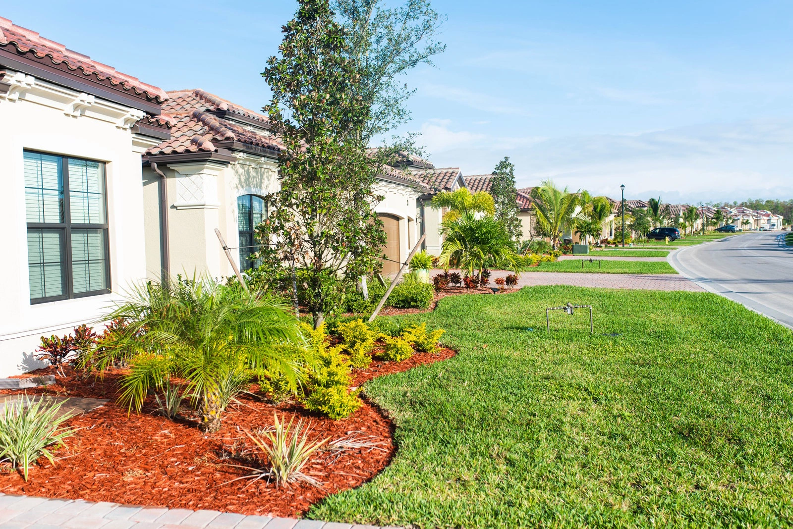 Professional Lawn Mowing & Maintenance detail 1