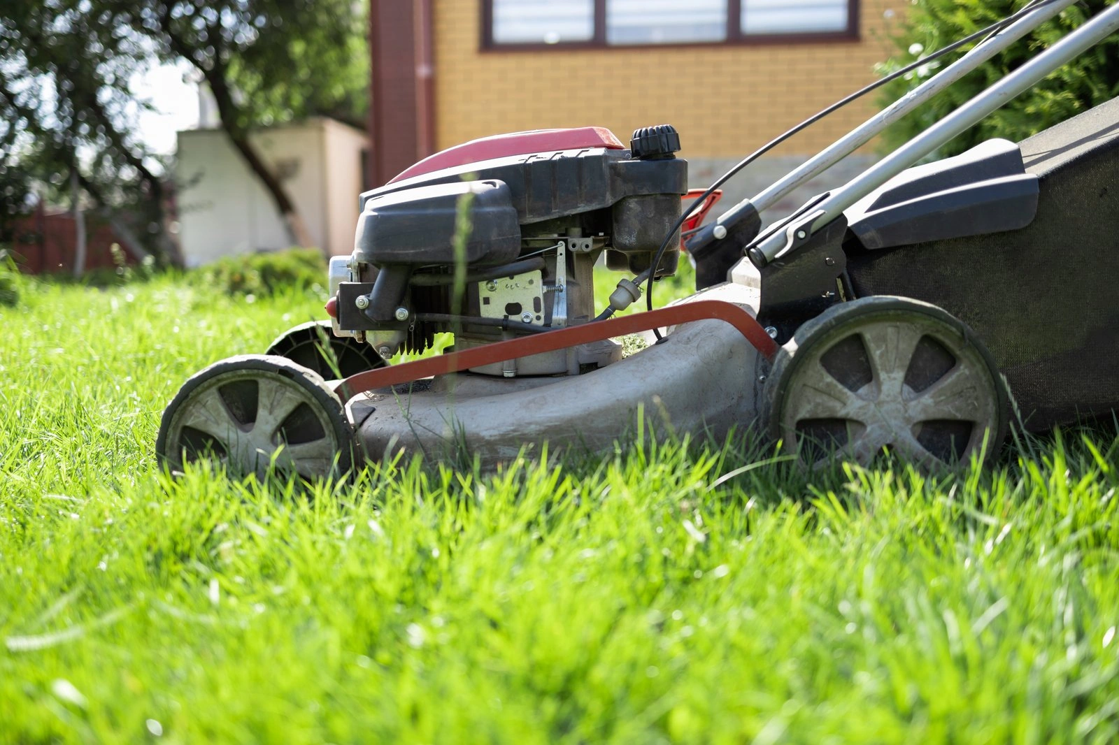 Professional Lawn Mowing & Maintenance detail 2