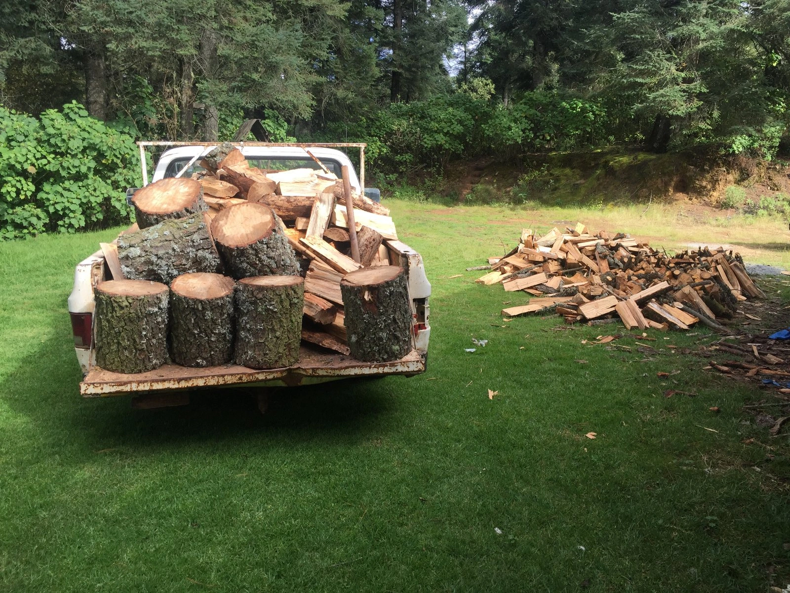 Expert Tree Trimming & Removal detail 1